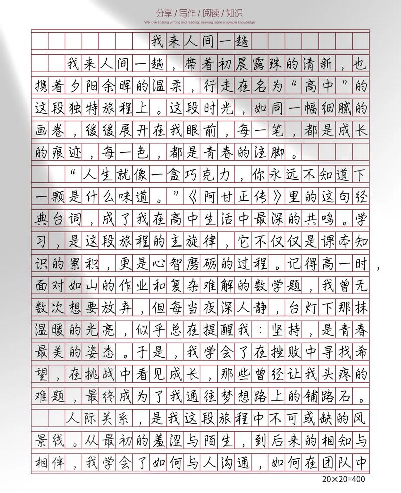 初中c位600字作文范文初中