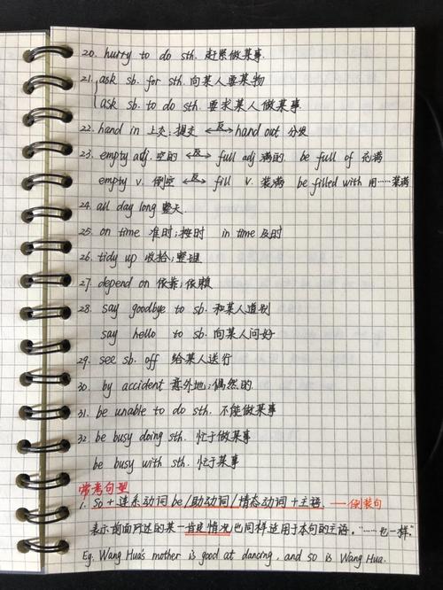 home alone初中作文