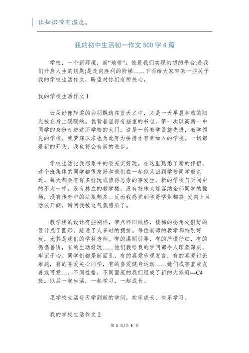 我心中的初中生活作文500字