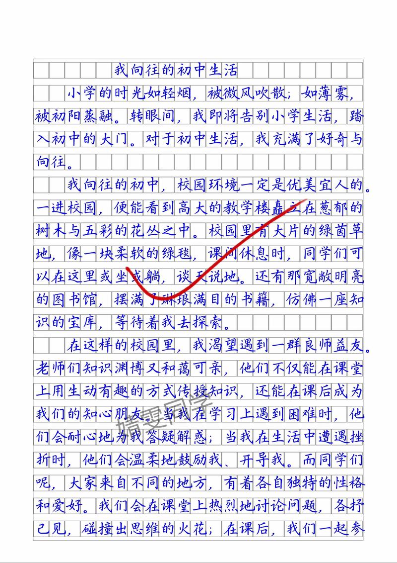 我向往的初中生活作文500字