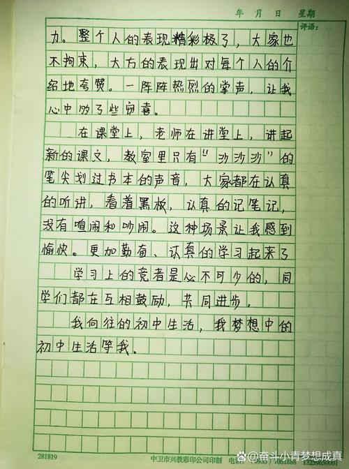 我向往的初中生活作文400字