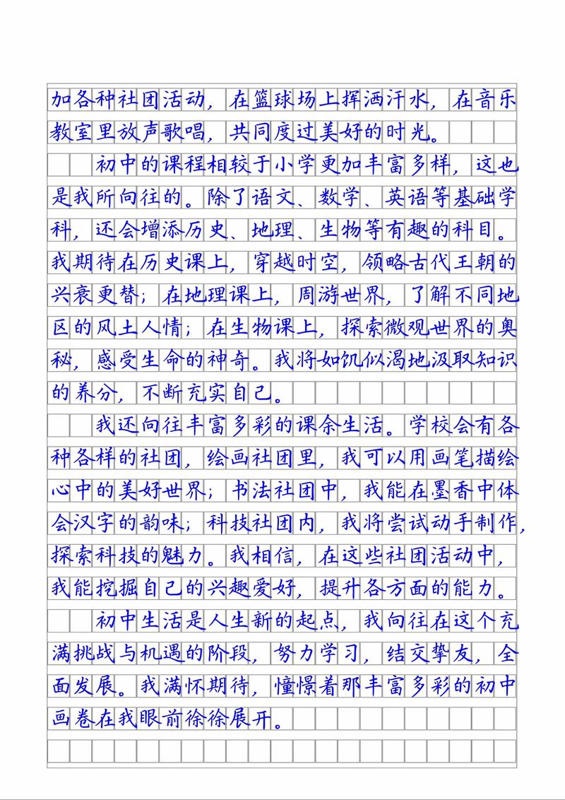 我向往的初中生活作文400字