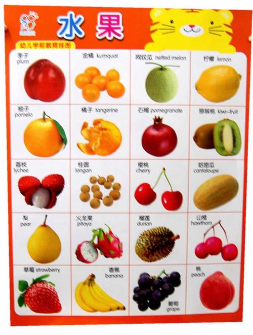 宝宝早教水果图片大全集