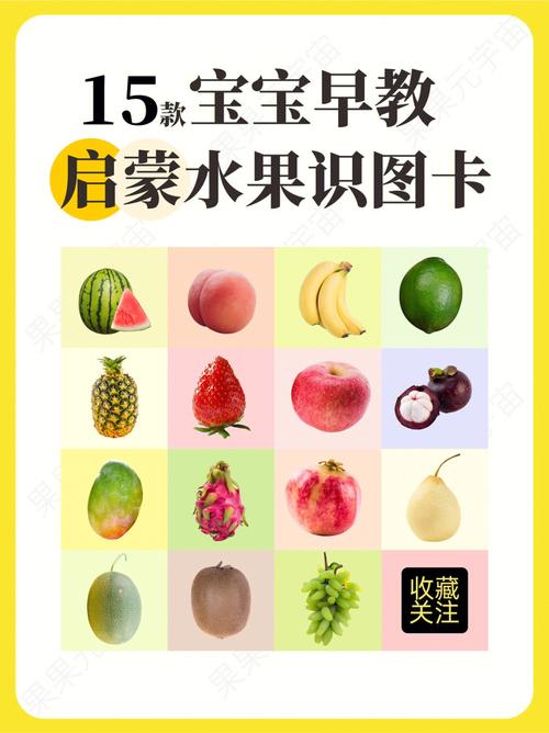 宝宝早教水果图片大全集