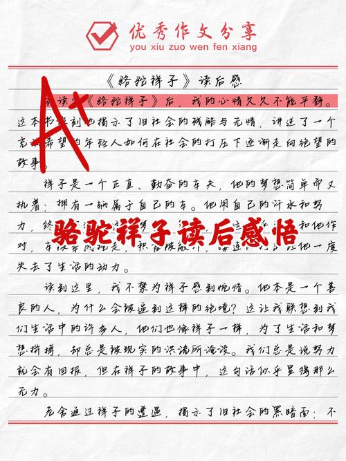 骆驼祥子读后感1000字初中