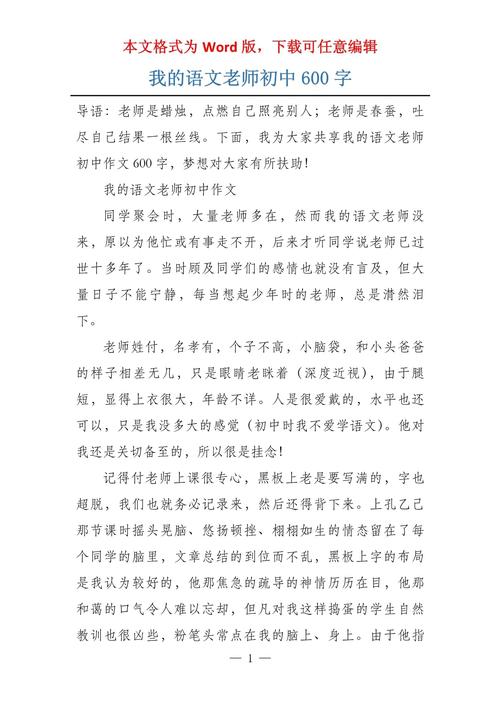 我的初中语文老师作文600字