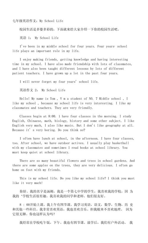 my school初中作文