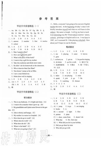 小学毕业升学全真模拟试卷答案