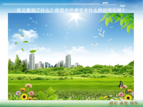 绿色圃中小学教育网ppt课件