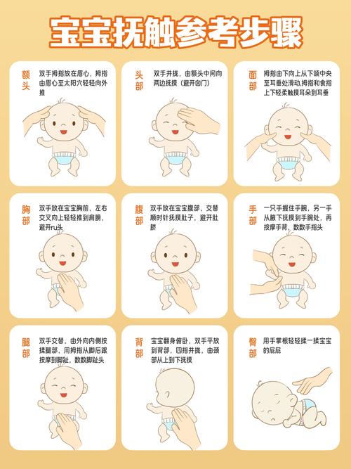 五个月宝宝早教视频教程