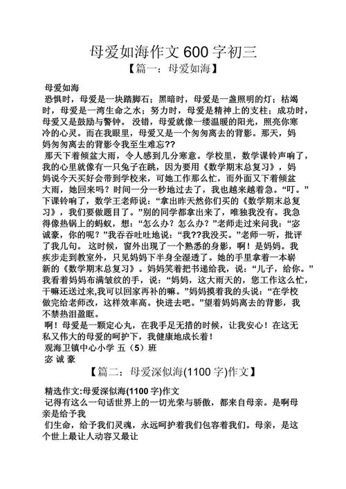 关于母爱的作文600字初中