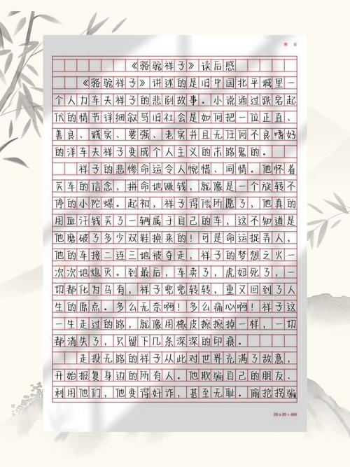 骆驼祥子读后感600字初中