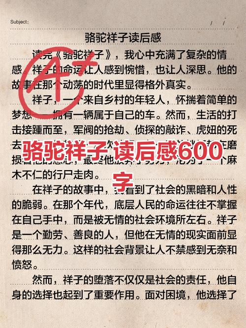 骆驼祥子读后感600字初中