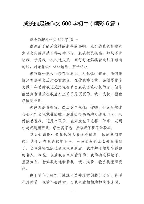 叙事的作文600字初中作文