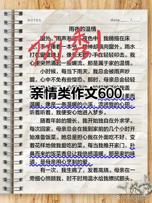 亲情优秀作文600字初中