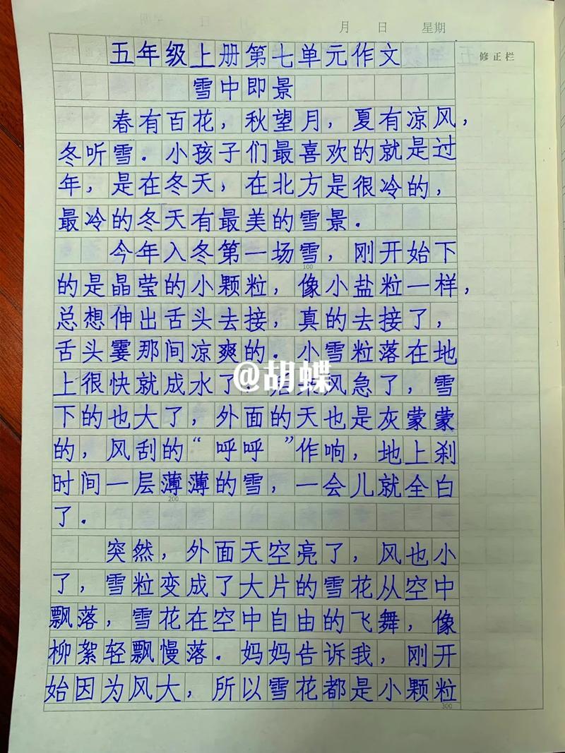 小学五年级上册第七单元作文