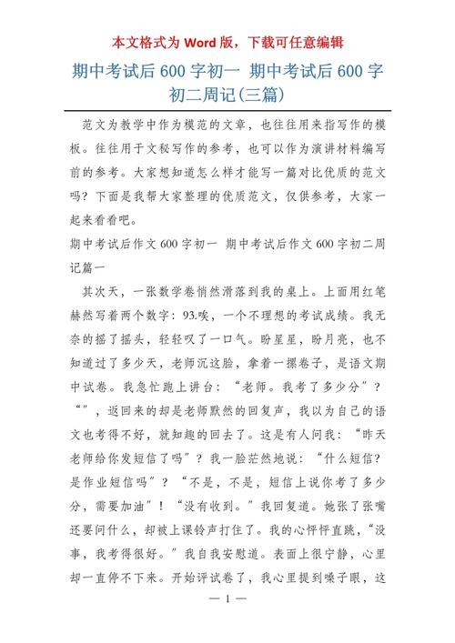 考试感悟作文600字初中