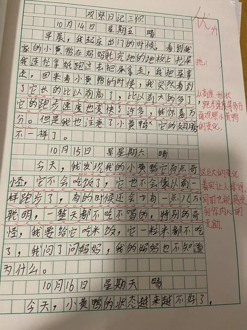 小学四年级上册第三单元作文
