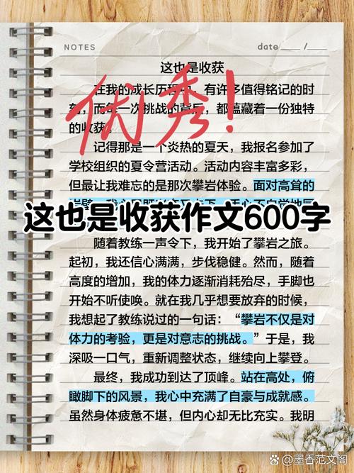 《收获》作文600字初中