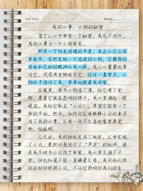 我的心事作文300字初中