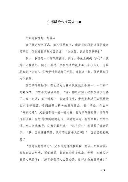 初中作文写人叙事800字