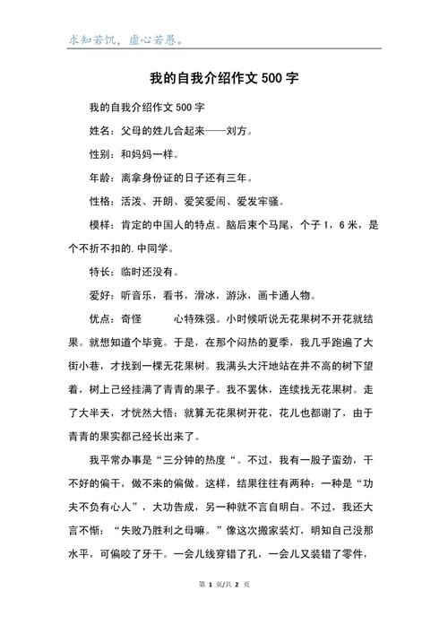 初中作文我的自述500字