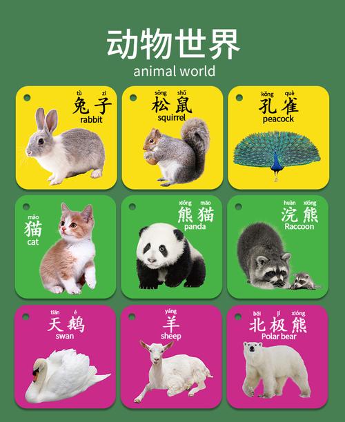 早教认知游戏认识动物