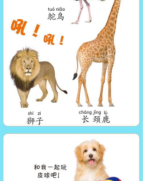 早教认知游戏认识动物