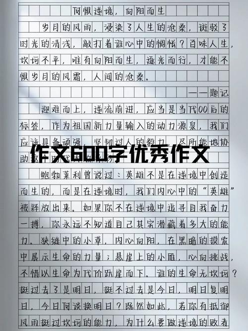 初中优秀满分作文600字