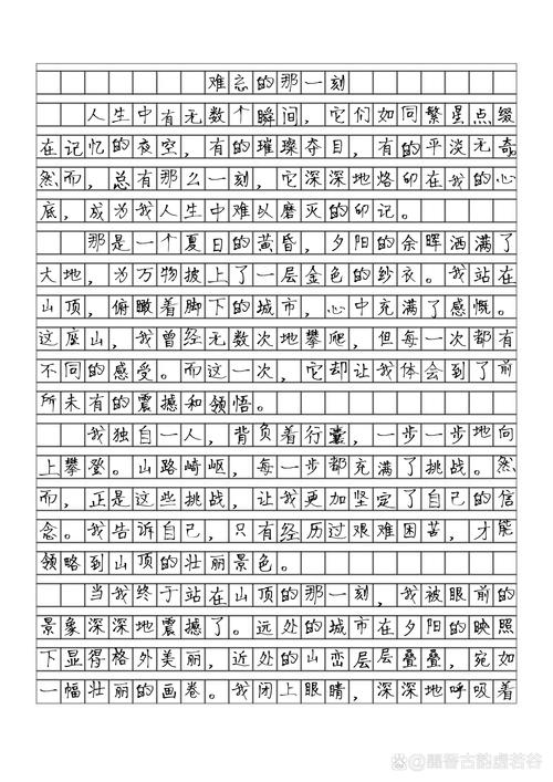 难忘的那一刻作文初中作文