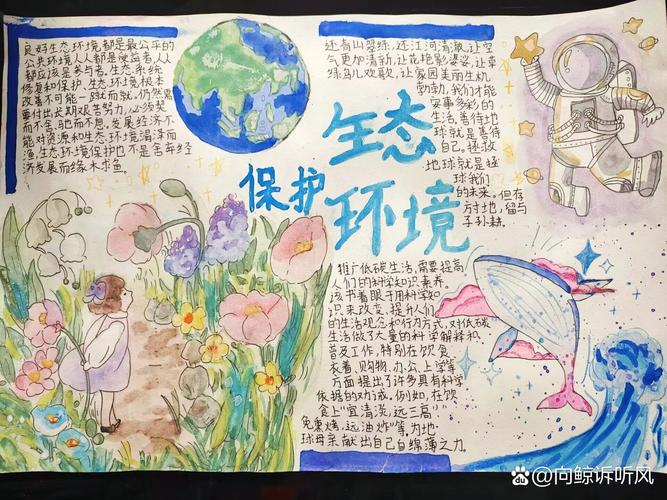 关于保护环境的手抄报初中
