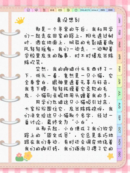 初中作文真没想到700字