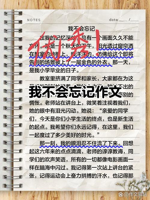 不能忘记作文600字初中