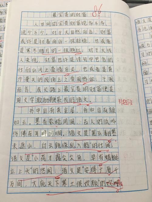 最宝贵的财富600字初中