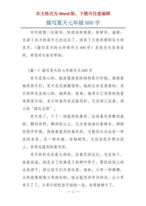 我爱夏季作文600字初中