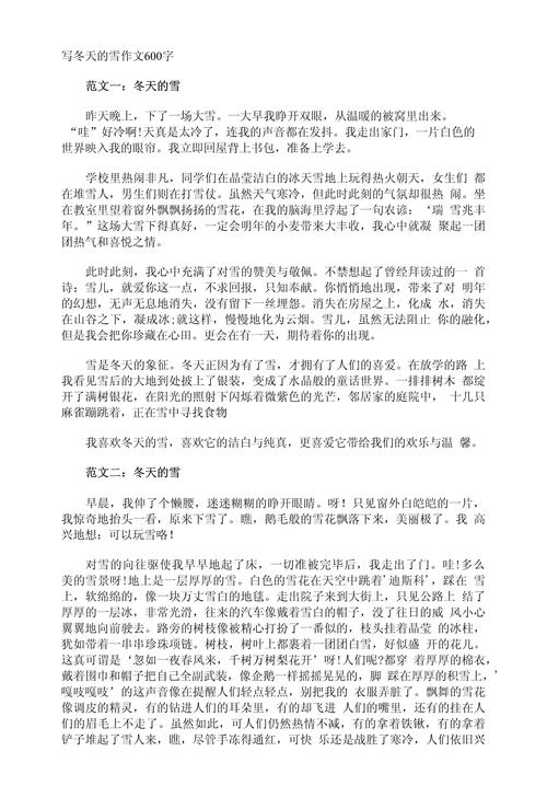 我爱冬季600字作文初中