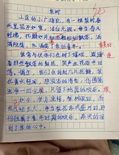 小学五年级语文第三单元作文