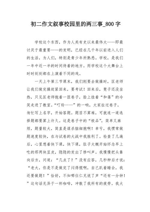 校园趣事800字初中作文