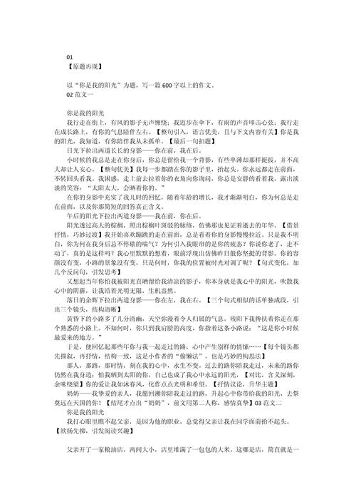 你是我的太阳600字初中