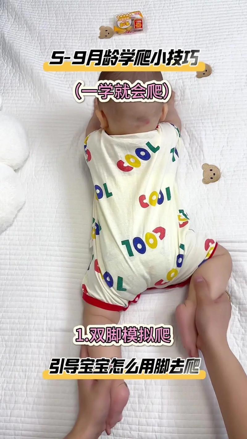 早教幼儿爬行活动指导