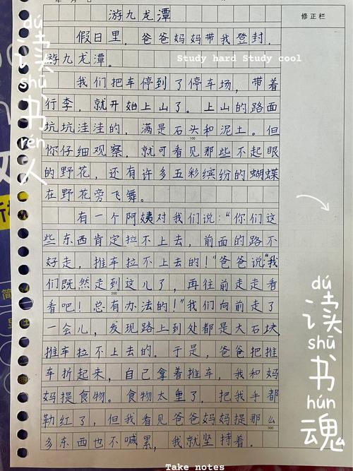 小学四年级上册第五单元作文