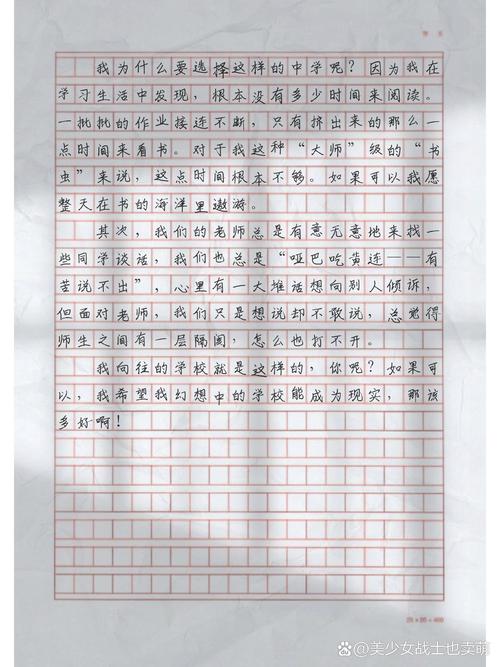 我向往的初中生活600字
