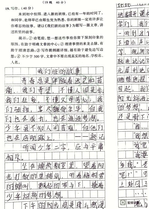 我们班的故事600字初中