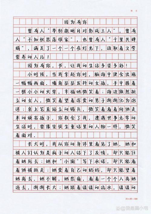因为有你作文600字初中