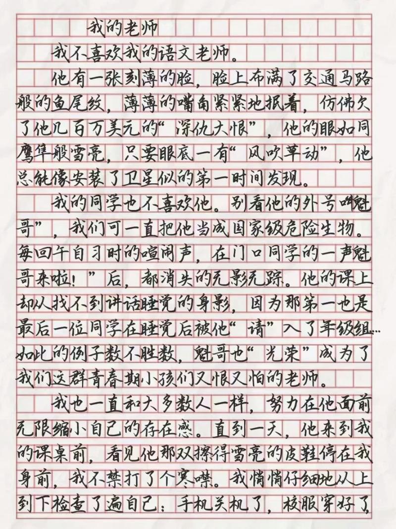 我的老师作文400字初中