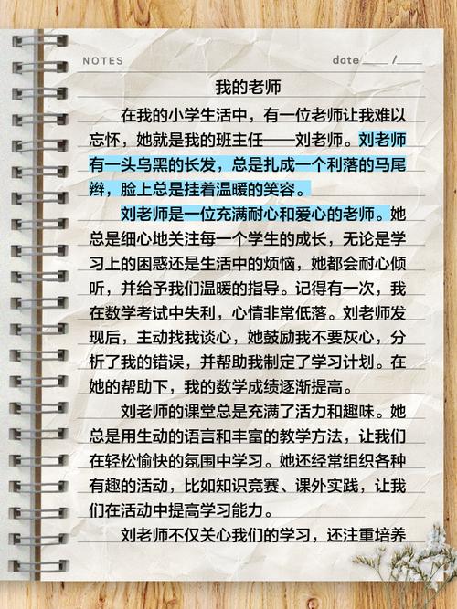 我的老师作文400字初中