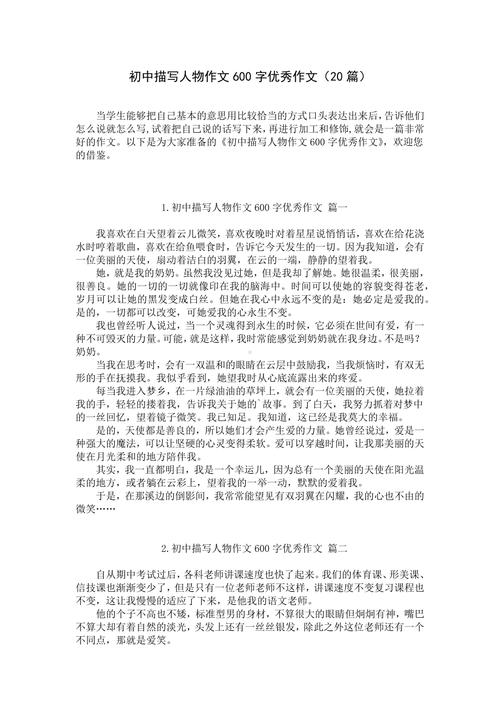 描写人物的作文600初中