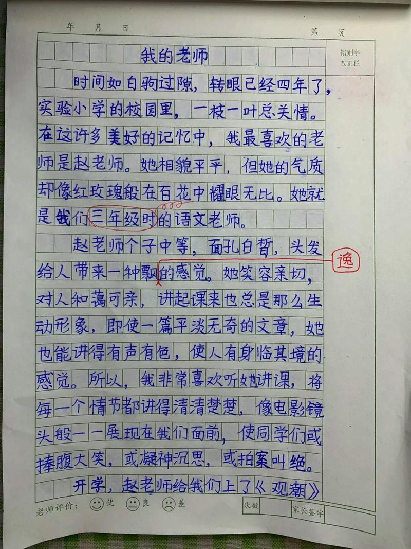 我的老师500字初中作文