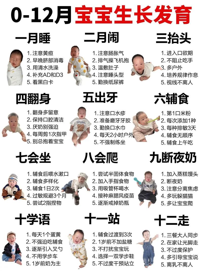 早教中心宝宝成长记录