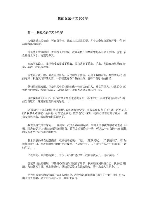 我的父亲作文600字初中